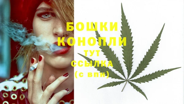 крисы Сясьстрой