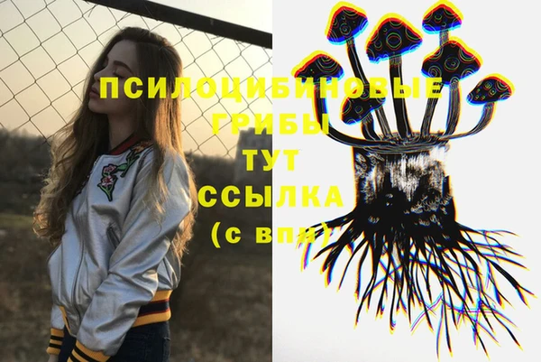 меф Тавда