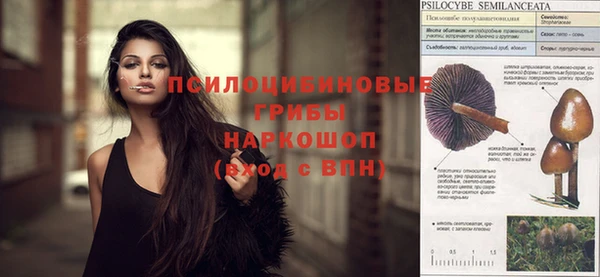 СК Тихвин