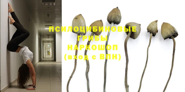 меф Тавда