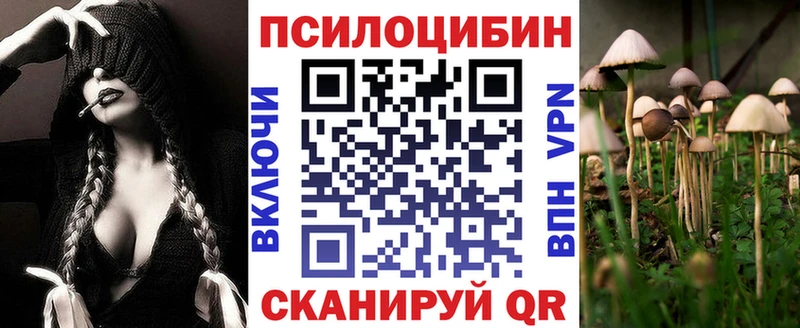 МЕГА онион  Суровикино  Псилоцибиновые грибы прущие грибы 
